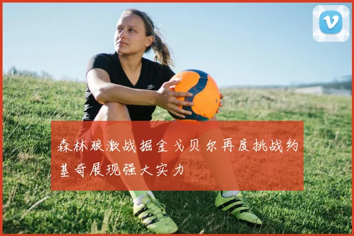 森林狼激战掘金戈贝尔再度挑战约基奇展现强大实力