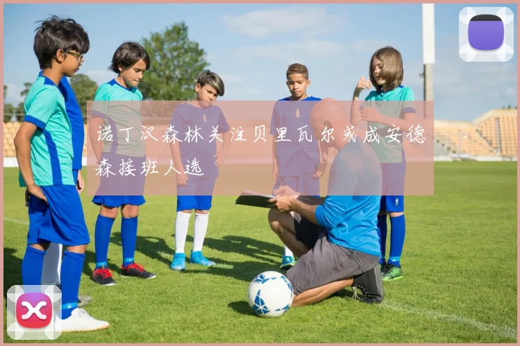 诺丁汉森林关注贝里瓦尔或成安德森接班人选